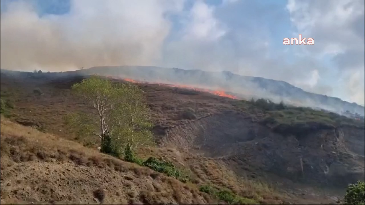 Sinop’ta çıkan yangında 5 hektar alan zarar gördü