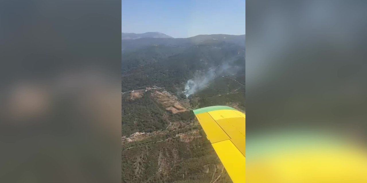 İzmir'in Kemalpaşa ilçesinde orman yangını çıktı
