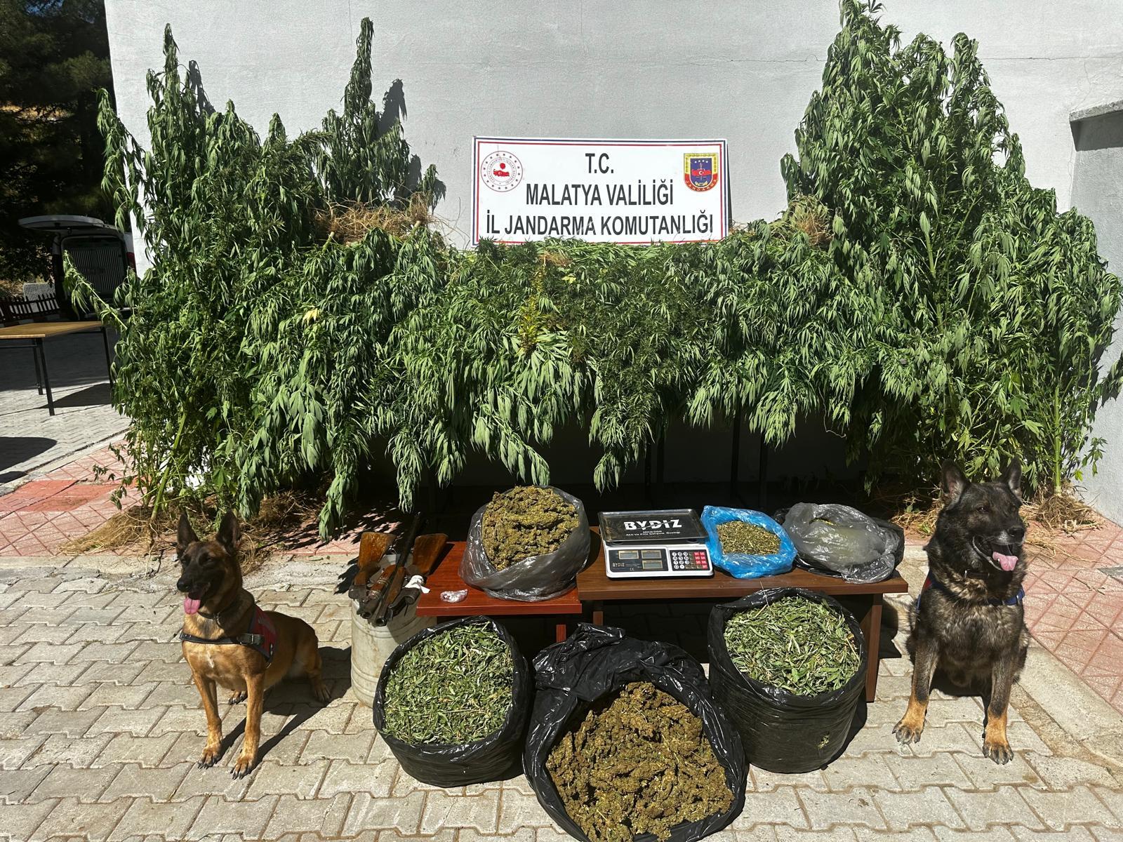 Malatya'da uyuşturucu operasyonu: 2 gözaltı