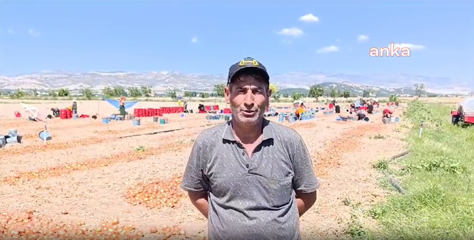 Hataylı mevsimlik tarım işçileri elektriksiz kaldı: Herkes gibi bizim de yaşamaya hakkımız var