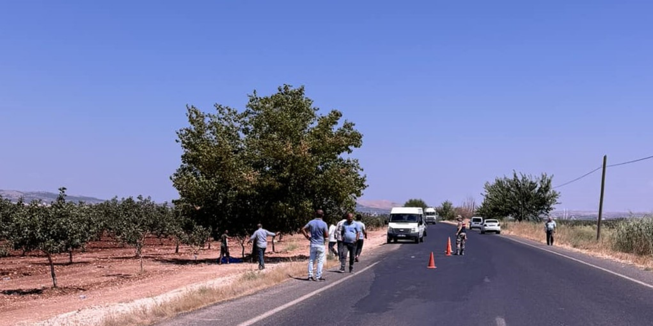 Öğretmenin fıstık bahçesinde cesedi bulundu