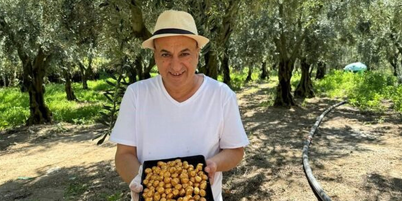 ‘Altın kaplamalı’ zeytinin fiyatı dudak uçuklatıyor: Orta Doğulu zenginler sıraya girdi