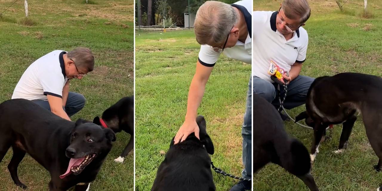 Ahmet Davutoğlu'ndan  Dünya Köpekler Günü'nde anlamlı paylaşım