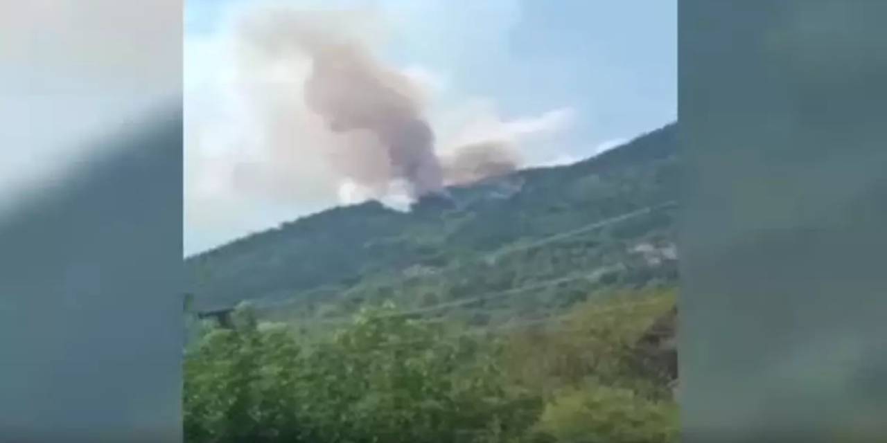 Zonguldak'ta orman yangını