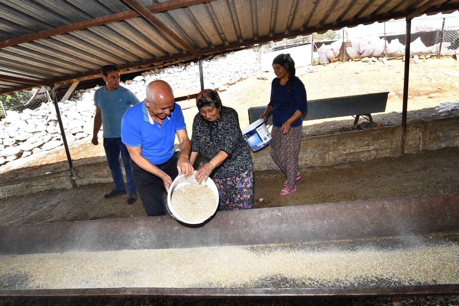 İzmir Büyükşehir'den yangından etkilenen köylerdeki çiftçilere yem desteği