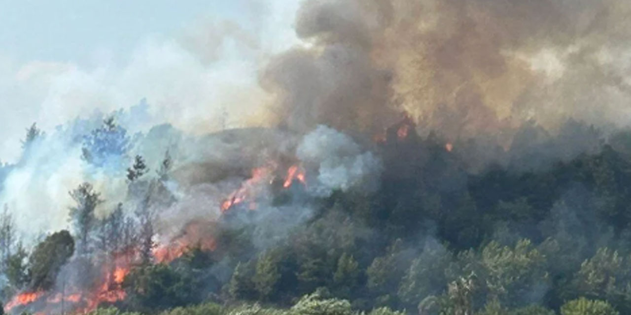 Antalya Aksu'da yangın ilerliyor: Ekipler teyakkuz halinde