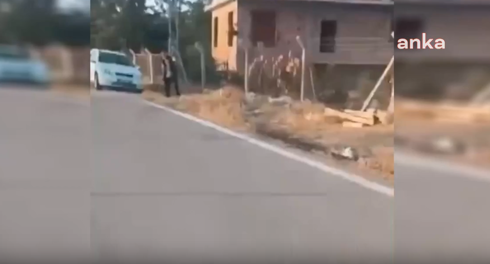 Ankara'da sokak ortasında hayvan katliamı! Yavru köpeği dirgenle öldürdü; tutuklandı!