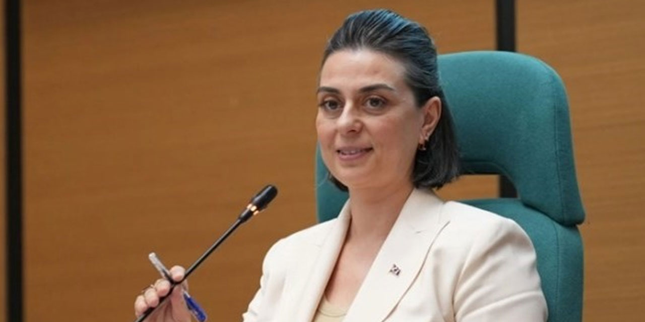 Sinem Dedetaş'tan 'kariyerizm' yanıtı: 5 yıl sonra göreceğiz