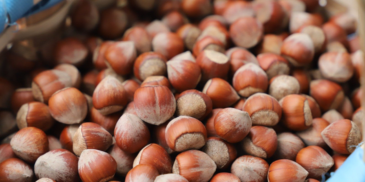 Türkiye’nin yıllık fındık ihracatı 2 milyar doları aştı