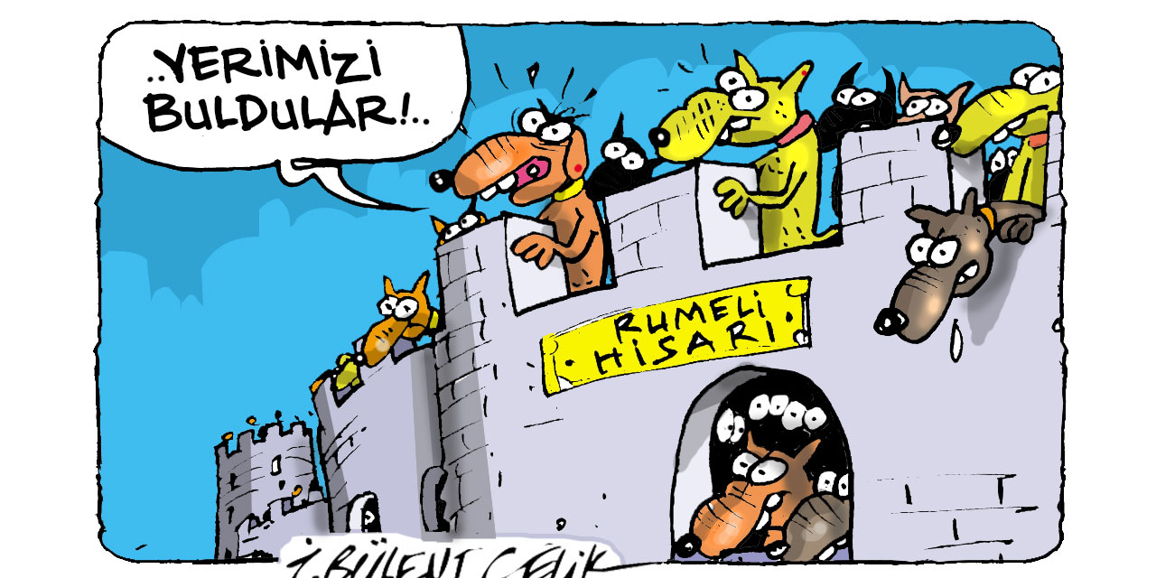 İ. Bülent Çelik çizdi...