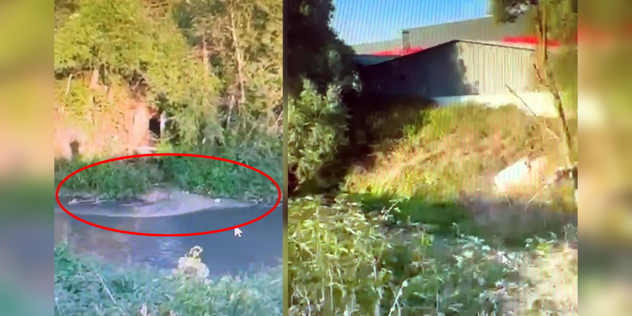 Doğayı kirletmeye devam eden beyaz et firmasına 3’üncü kez para cezası