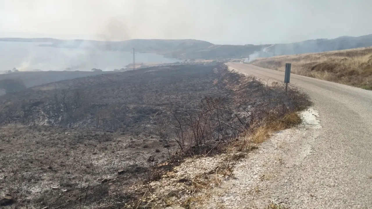 Erdek'te ot yangını: 100 dönüm alan zarar gördü