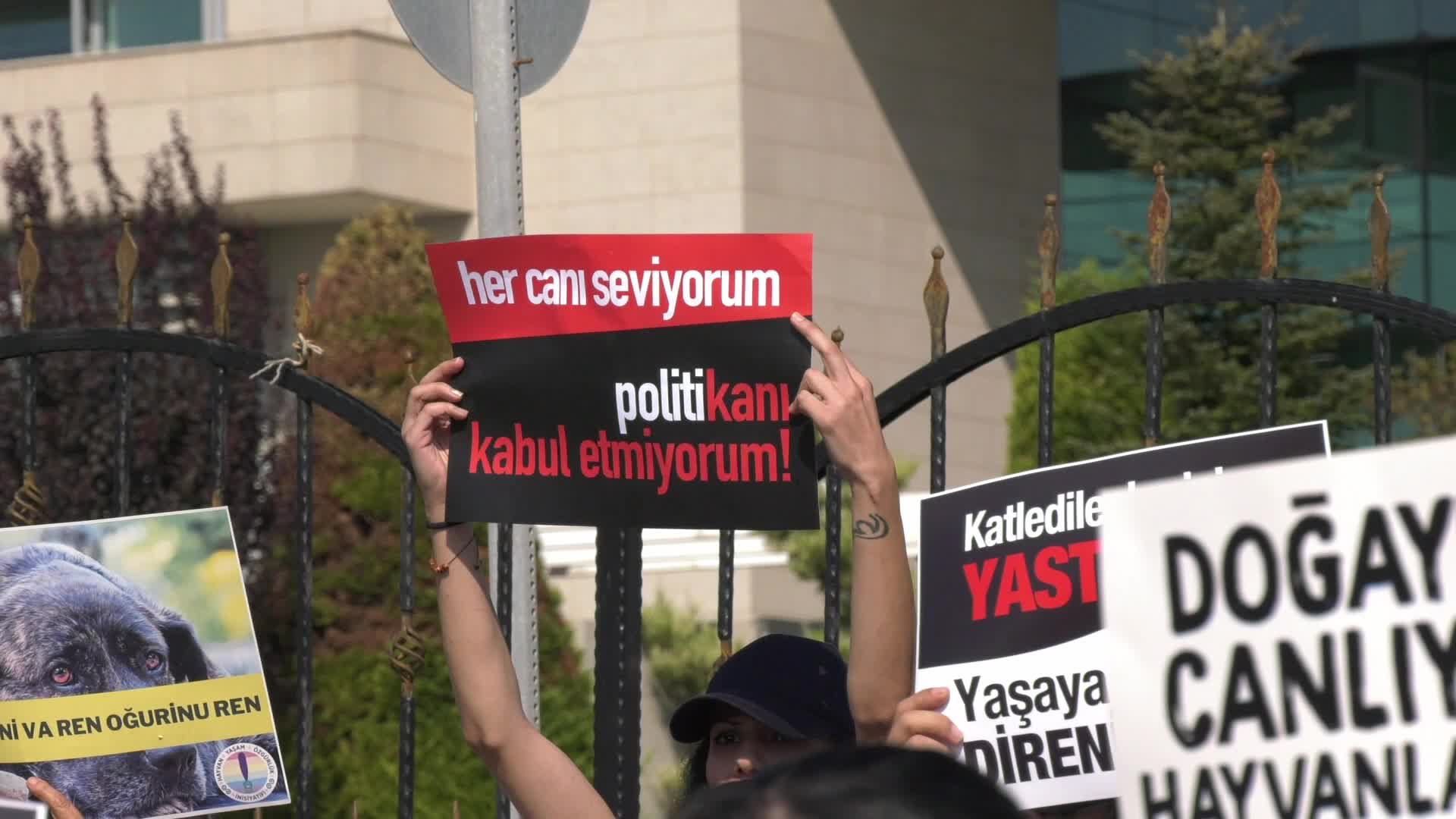 AYM önünde sokak hayvanları yasasının iptali için nöbet eylemi: Ankara Barosu'ndan destek