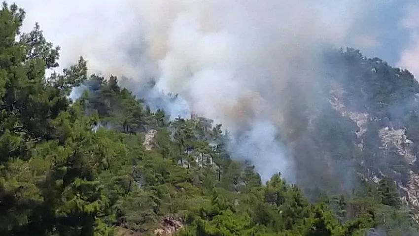 Antalya’da orman yangını: Rüzgarın hızıyla yayılmaya başladı