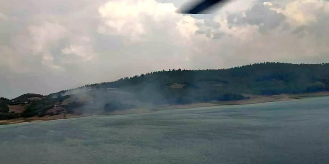 Adana'da ormanlık alanda çıkan yangın kontrol altına alındı