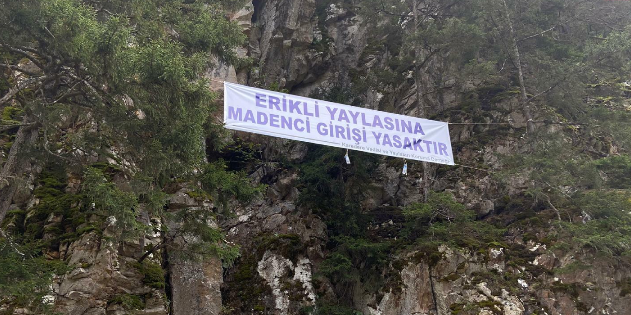 Trabzon Araklı halkı, altın madeni çalışmalarını protesto etti: “Dozer geldiğinde dozerleri baştan yakacağız"