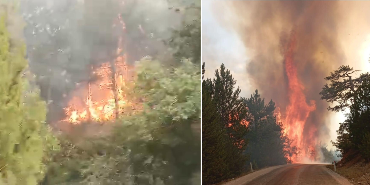 Bolu'da orman yangını!
