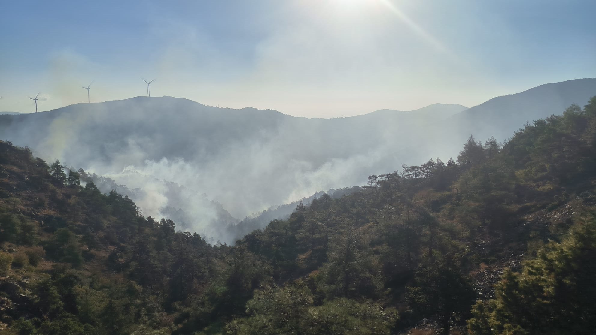 Antakya'da orman yangını