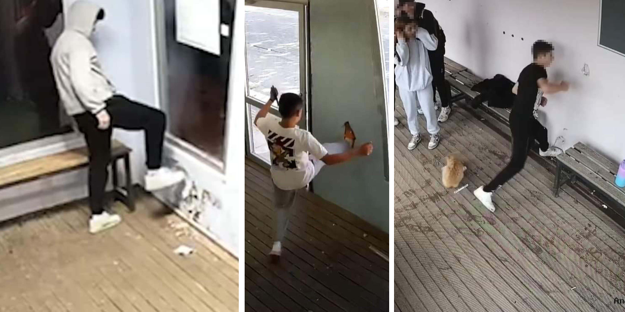 Çanakkale'de otobüs durağına gençlerin vandalizmi kameraya yansıdı