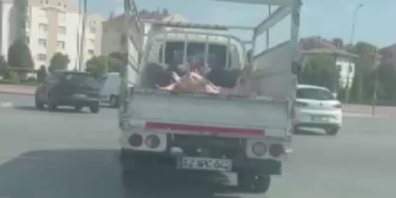 Konya'da tepki çeken görüntüler: Kilolarca et sağlıksız koşullarda kamyonet kasasında taşındı
