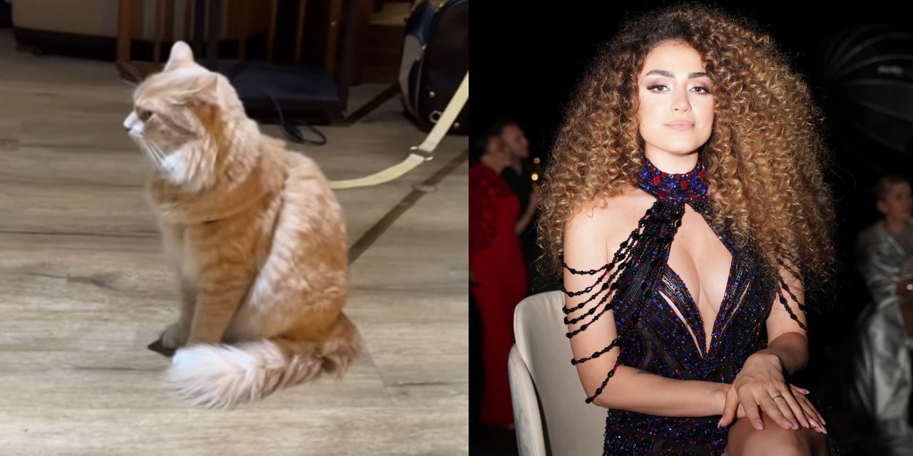 Dilan Çıtak Tatlıses ve kabin memuru karakolluk oldu: Polisi tehdit ettiği anlar ortaya çıktı