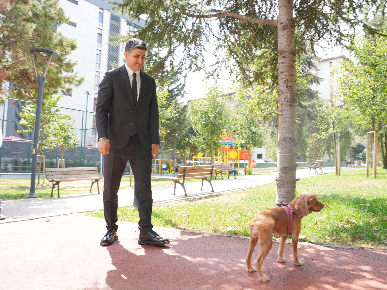 Onursal Adıgüzel'den sokak hayvanları için mektup