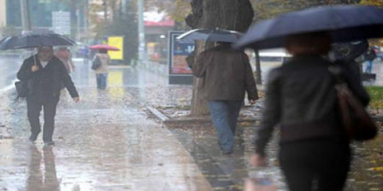 Şanlıurfa'da yağışlar hayatı olumsuz etkiledi: Fıstık ağaçları zarar gördü