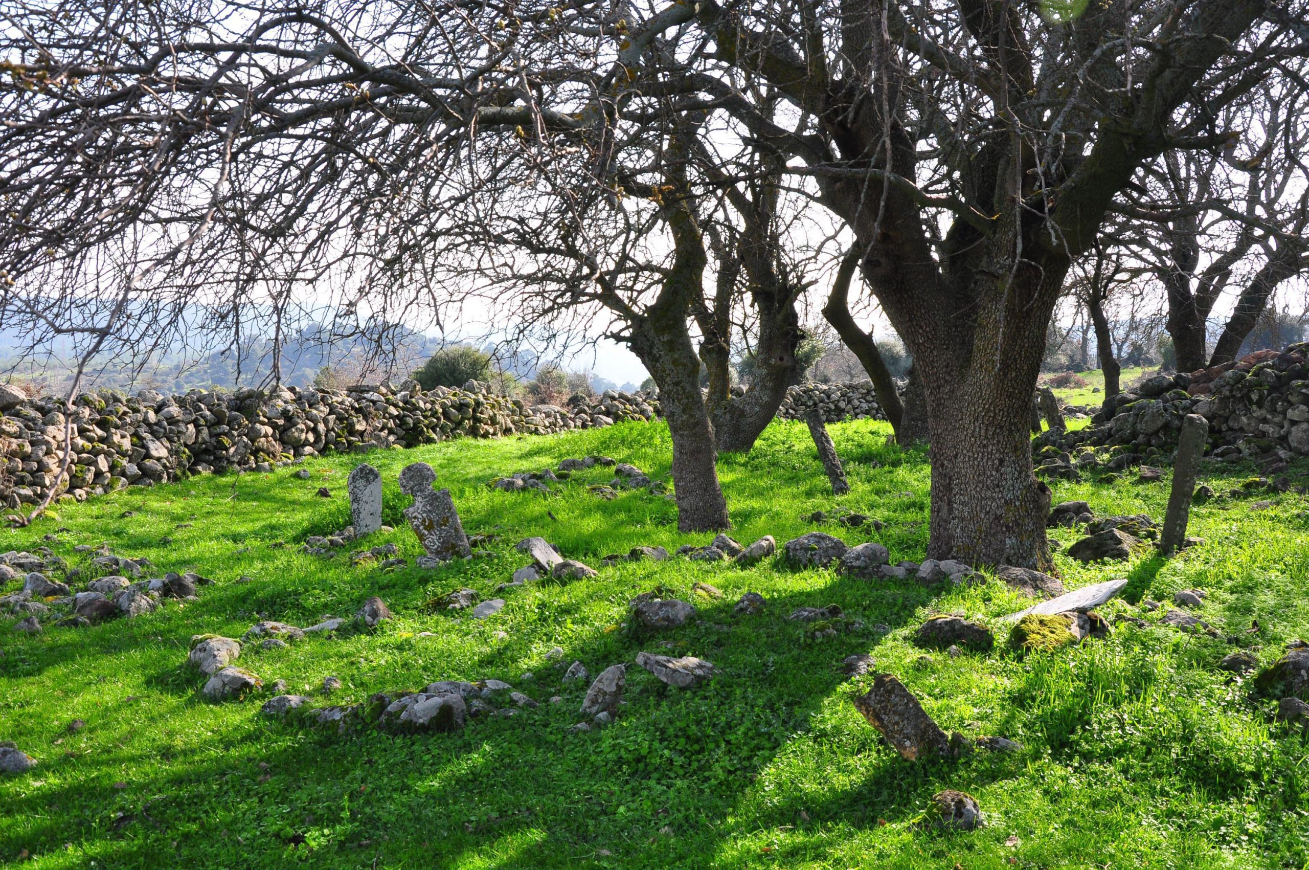 Manisa'da tarihi mezarlıkta defineci tahribatı