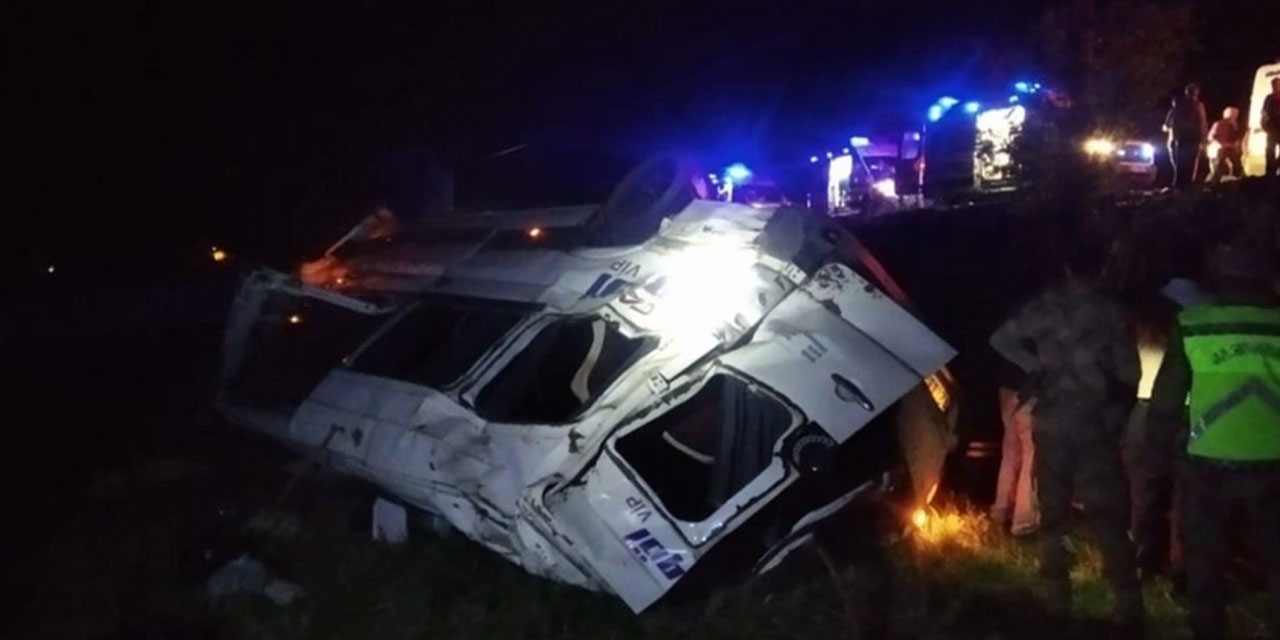 Bingöl'de korkunç kaza: Ata çarpan yolcu minibüsü şarampole uçtu: 13 yaralı