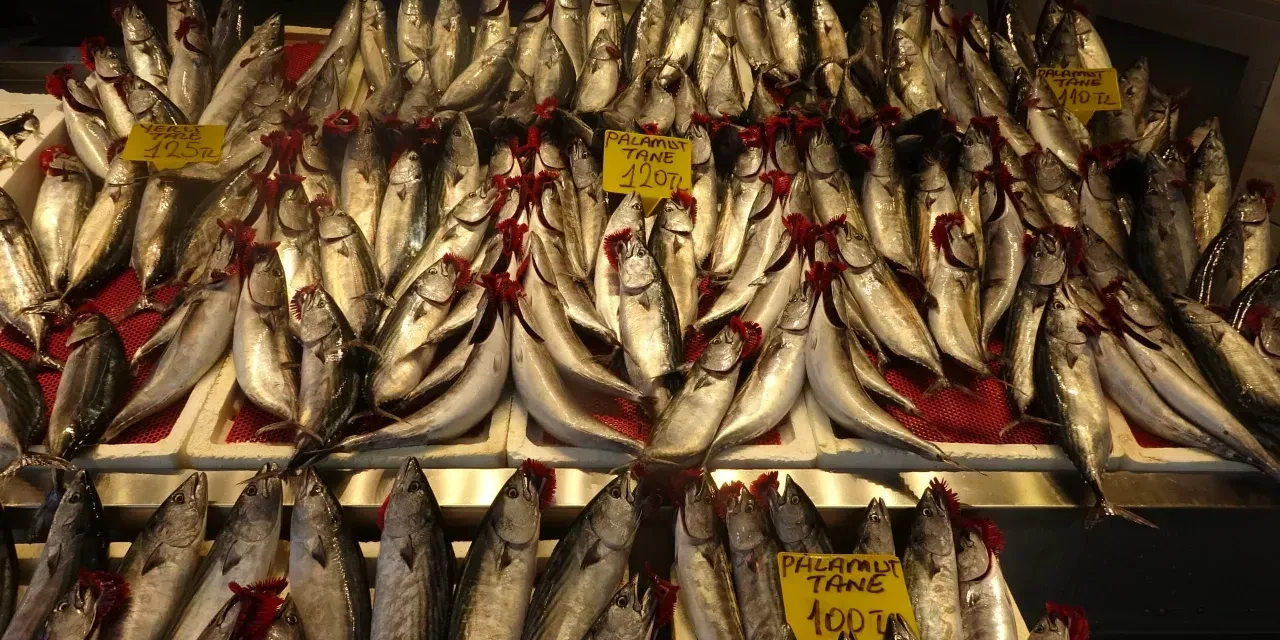 Karadeniz'de av yasağının sona ermesiyle balık tezgahlarında bereket başladı
