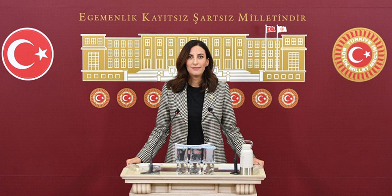 DEVA Parti'li Rızvanoğlu'ndan Orman Genel Müdürlüğü Sayıştay raporuna soru önergesi: Yıkılması gereken binalar hala ayakta