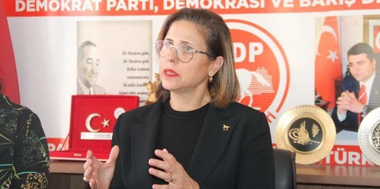 Demokrat Parti Genel Başkan Yardımcısı İlay Aksoy istifa etti
