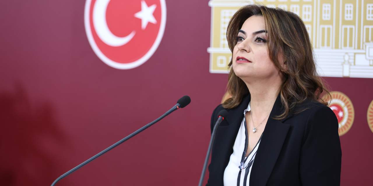DEM Partili Koçyiğit'ten Kurtulmuş'a tepki: 'Tek sesli koroya müsaade etmeyeceğiz'