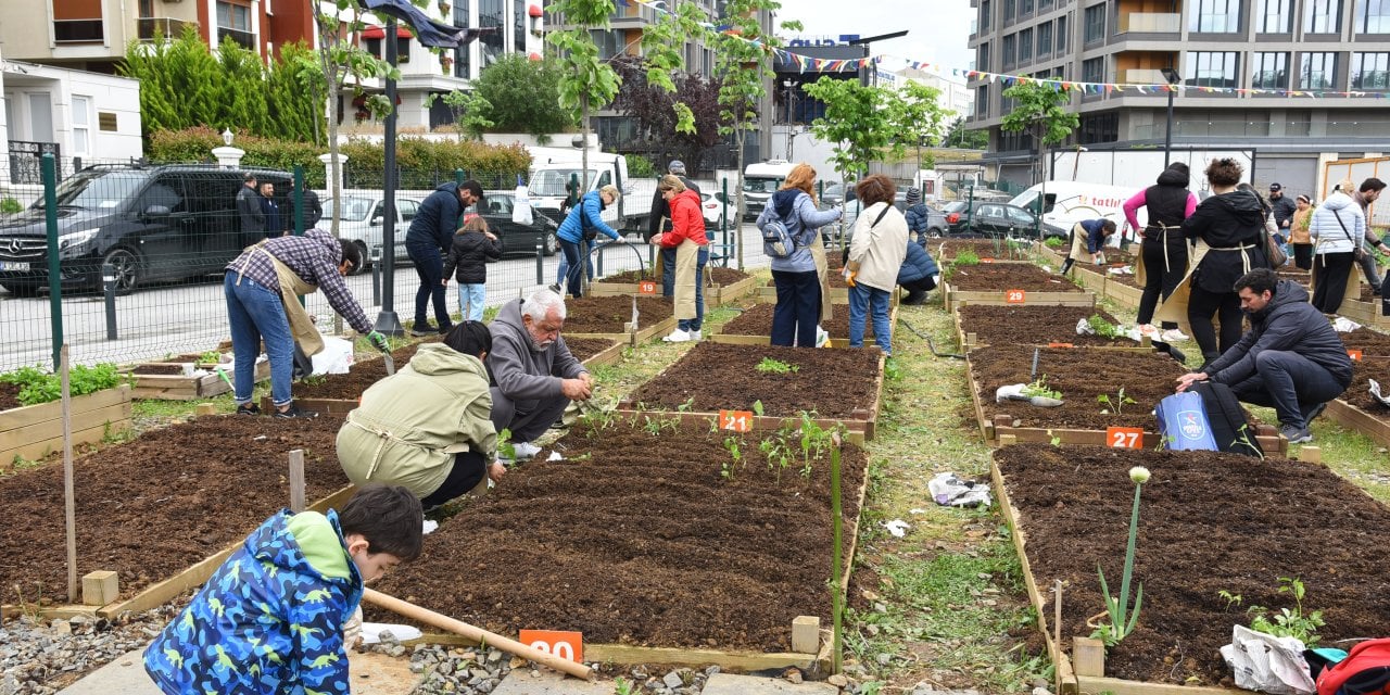 Kadıköy Bostanları’nda kış dönemi başladı