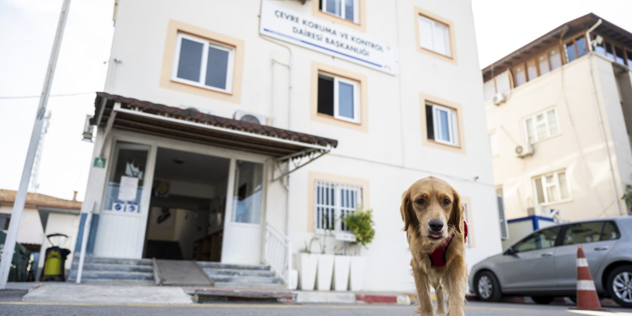 Mersin'de belediye çalışanlarının yeni mesai arkadaşları