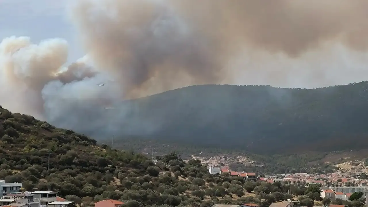 İzmir Foça'da çıkan yangın kontrol altına alındı