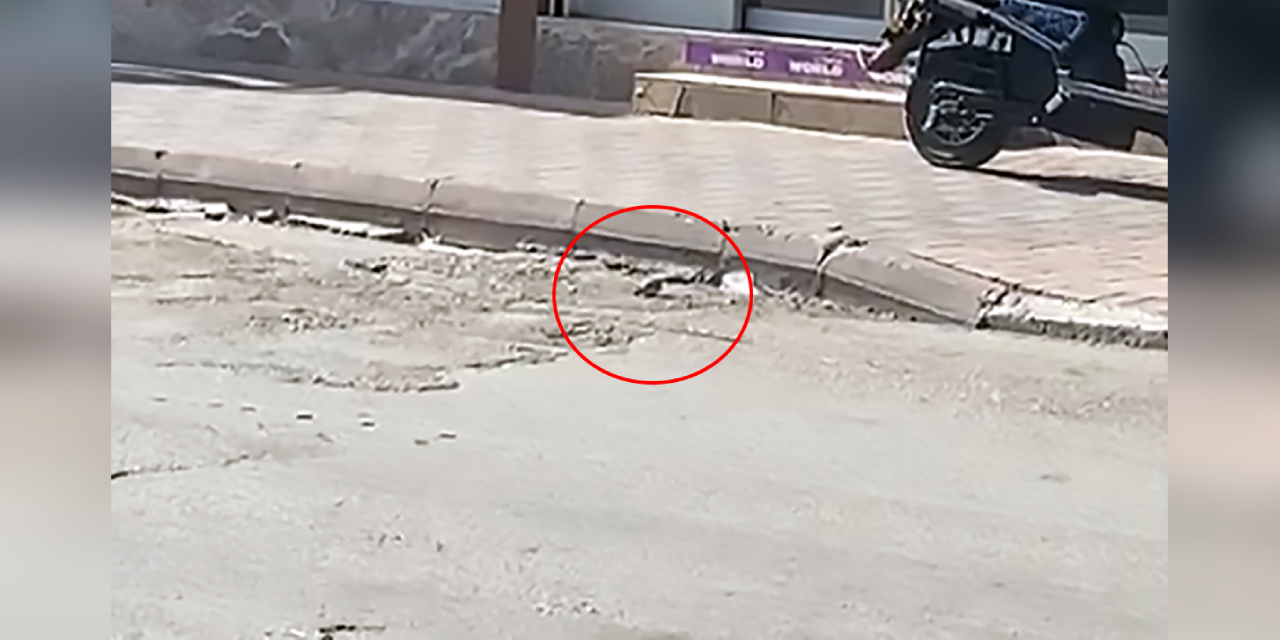 Adana'da caddede bulunan el bombası paniğe neden oldu