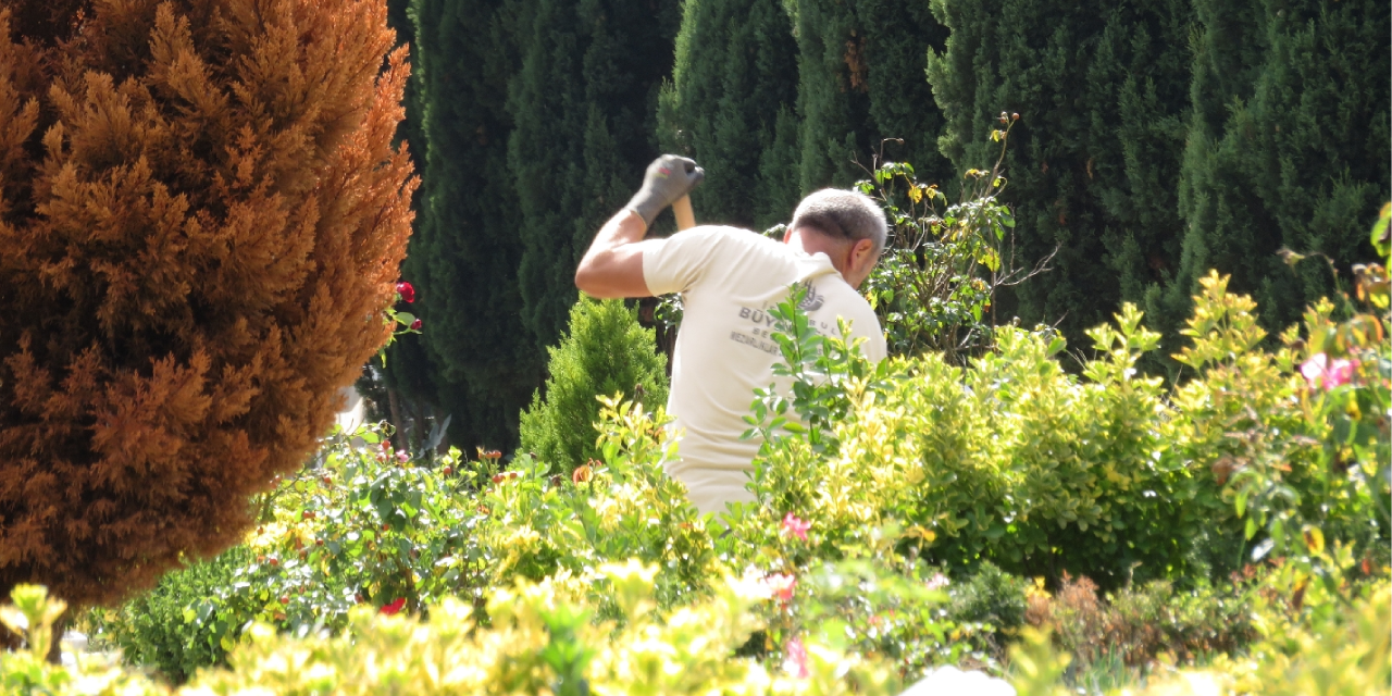 DNA testleri sonuçlandı: Cem Garipoğlu'nun cenazesi yeniden defnediliyor