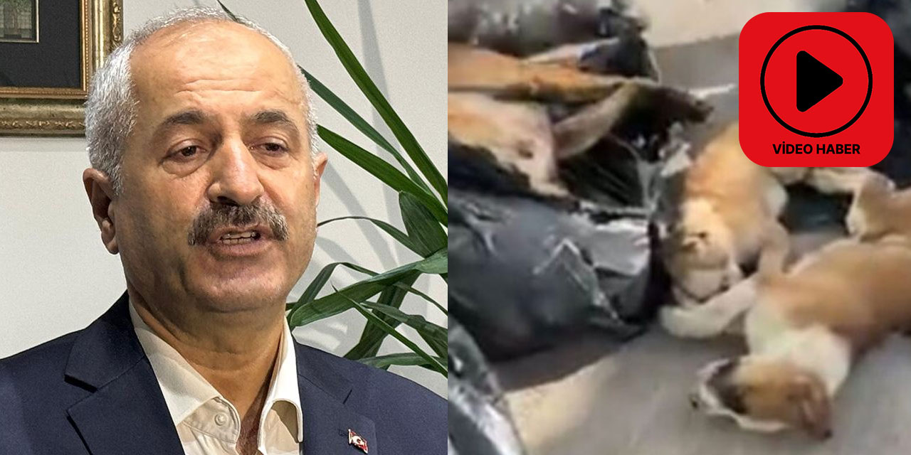 Gebze Belediye Başkanı'ndan dalga geçer gibi açıklama: Görüntüleri merkezimize ansızın giren bir grup insan yaydı