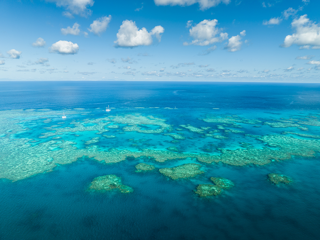 Dünya Mirası Listesi’ndeki dünyanın en büyük mercan resifi beyazlıyor