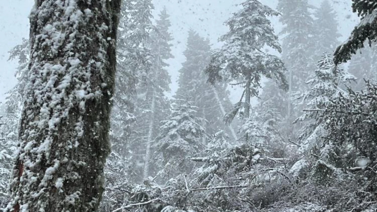 Meteoroloji uyardı! Sağanak ve kar yağışı geliyor