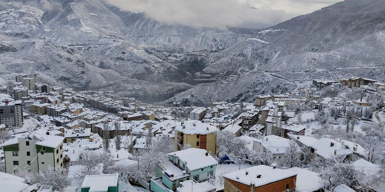 Artvin'de kar yağışı hayatı olumsuz etkiliyor: Bazı yollar ulaşıma kapandı