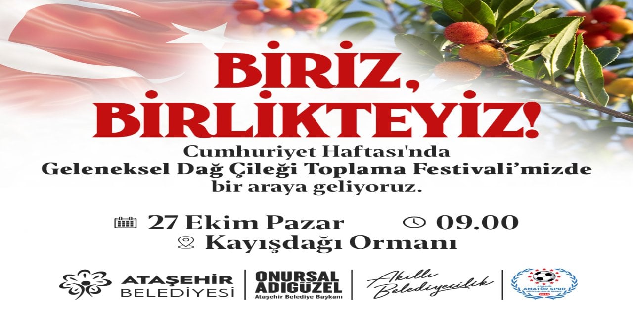 Ataşehir’de dağ çileği toplama festivali