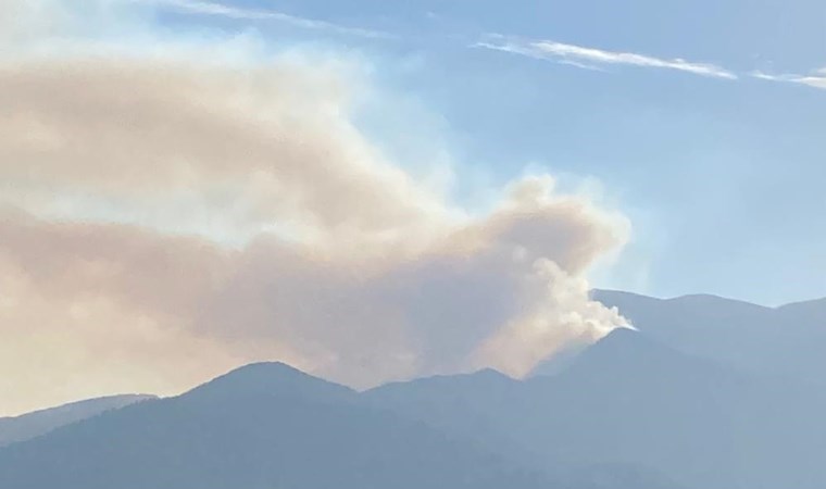 Denizli'deki orman yangını 3 gündür devam ediyor