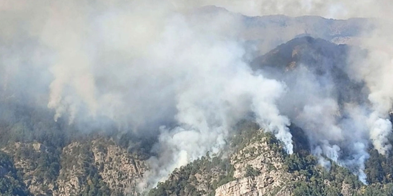 Denizli'de orman yangını 4. gününde: Ekiplerin müdahalesi sürüyor