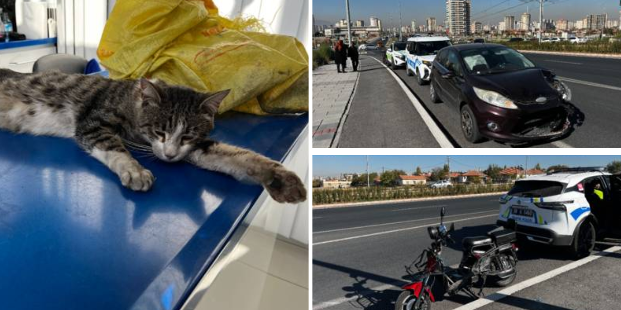 Kayseri'de çuvala koyduğu kediyi uzaklaştırmaya çalışan kadın kaza geçirdi