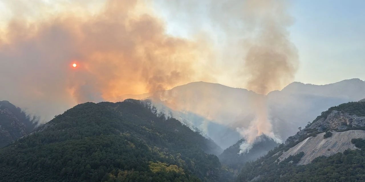 6 gündür sürüyordu: Denizli'deki orman yangını söndürüldü