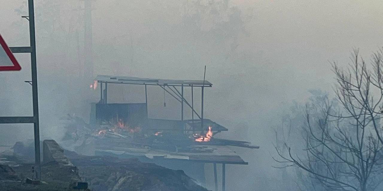 Hatay'da çıkan orman yangını evlere sıçradı