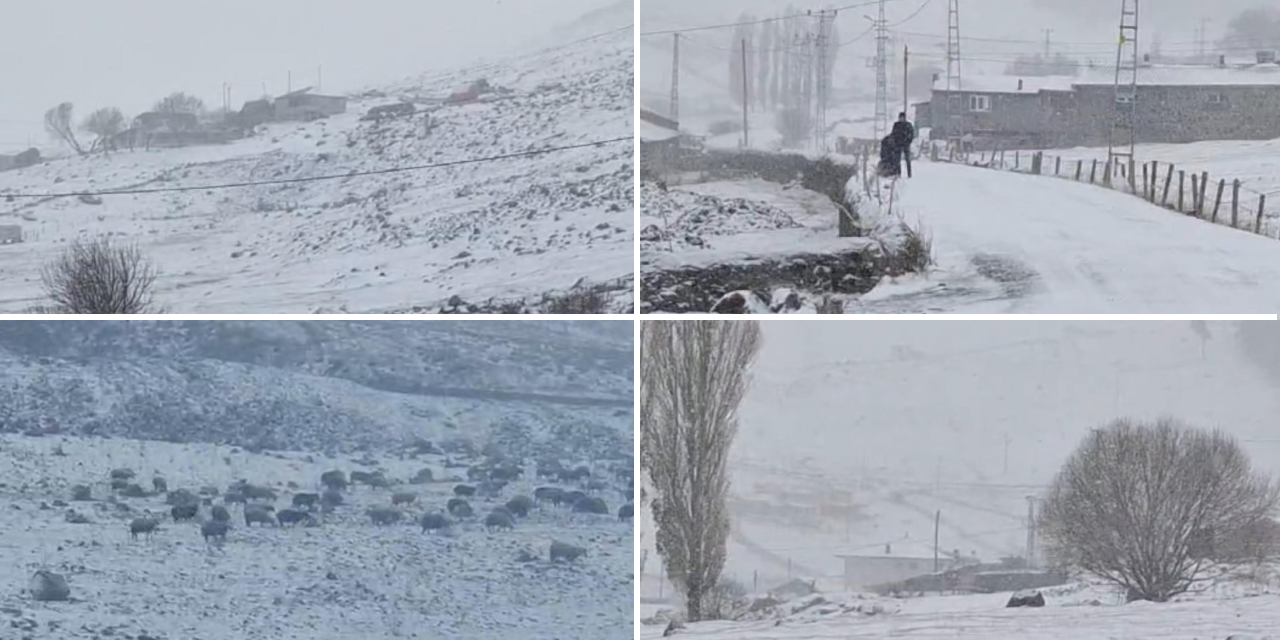 Ardahan’da kar yağışı, yüksek rakımlı köyleri beyaza bürüdü