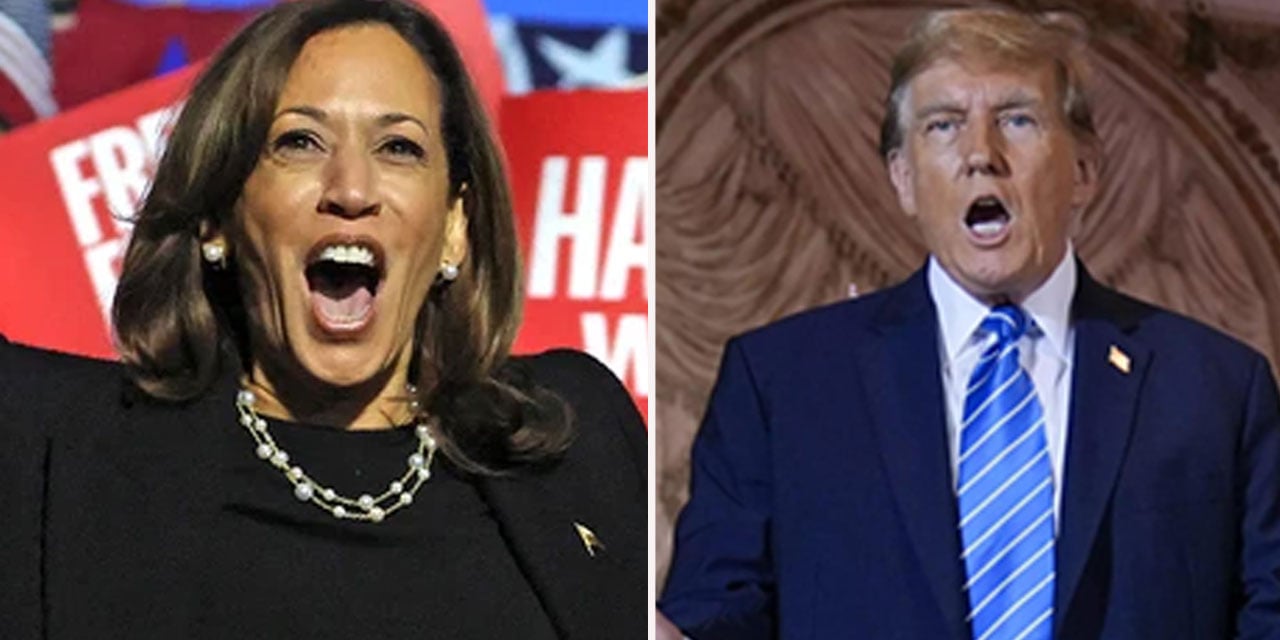 ABD'de seçim heyecanı: Donald Trump mı önde  Kamala Harris mi?